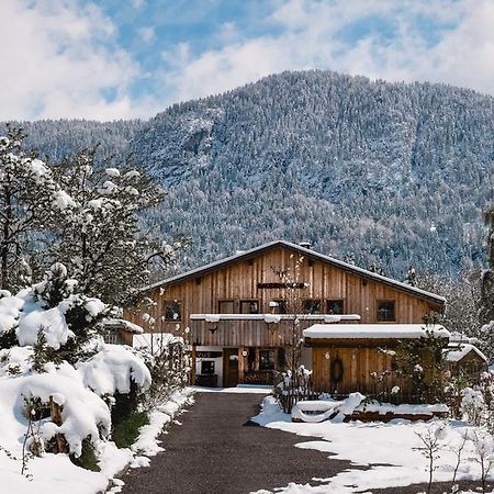 Bauernlodge Alpin Appartements Hofen Ngoại thất bức ảnh