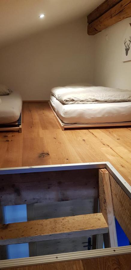 Bauernlodge Alpin Appartements Hofen Ngoại thất bức ảnh